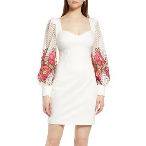 Elliatt Juke Embroidered Balloon Sleeve Minidress in small